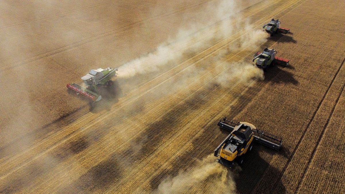 Jak Rusko dostává ukradené ukrajinské obilí do světa